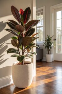 Breathaking Plants