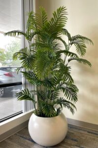 Artifical Plants