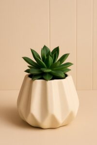 Decorative Vases