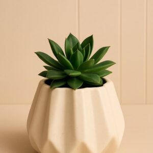 Decorative Vases
