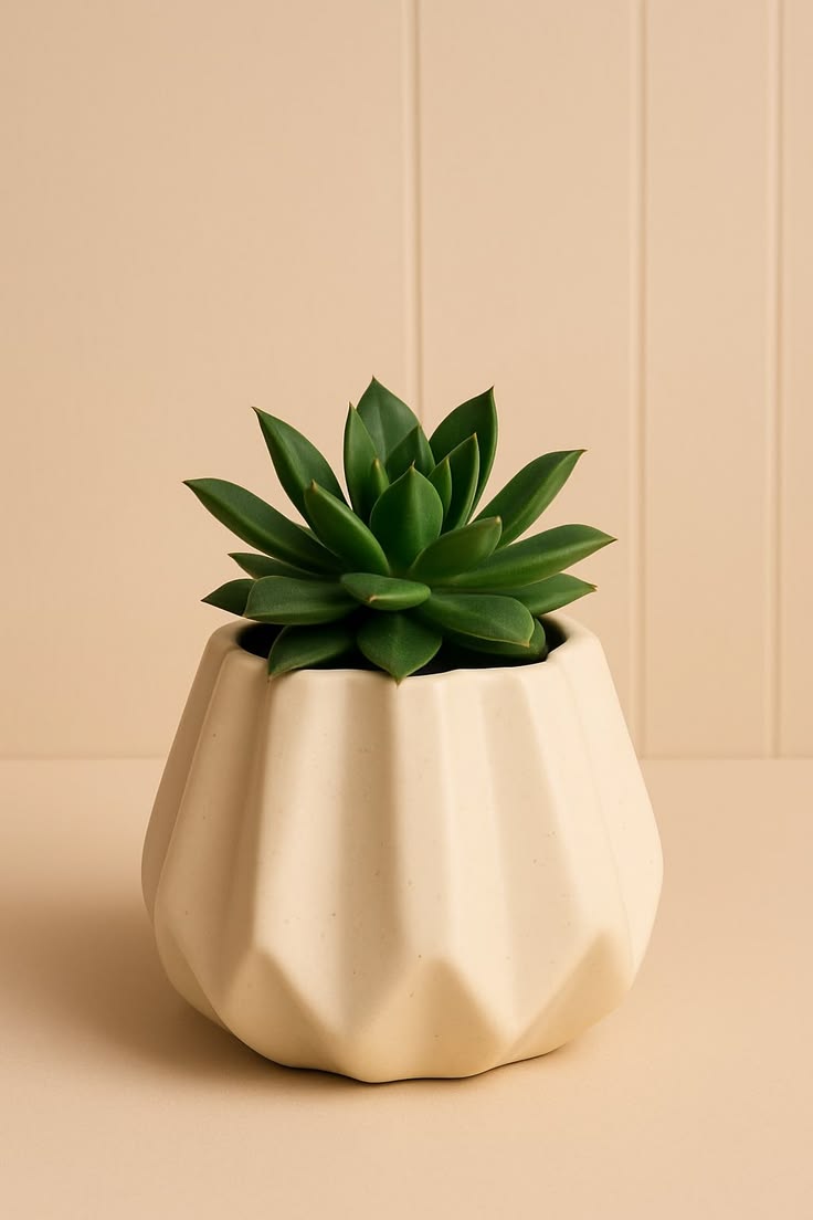 Decorative Vases